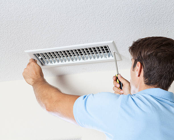 Best Emergency Mold Remediation  in Marysville, MI