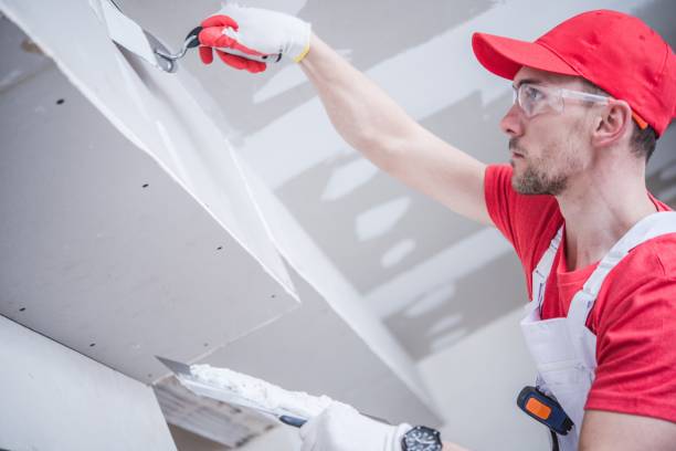 Reliable Marysville, MI Mold Removal Solutions